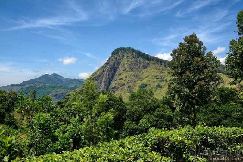 Цейлон на троих. Часть 6