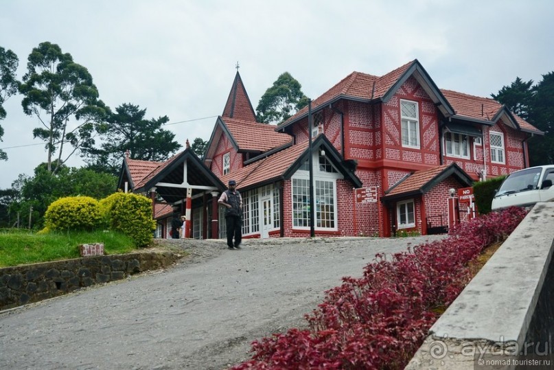 фото Нувара Элии