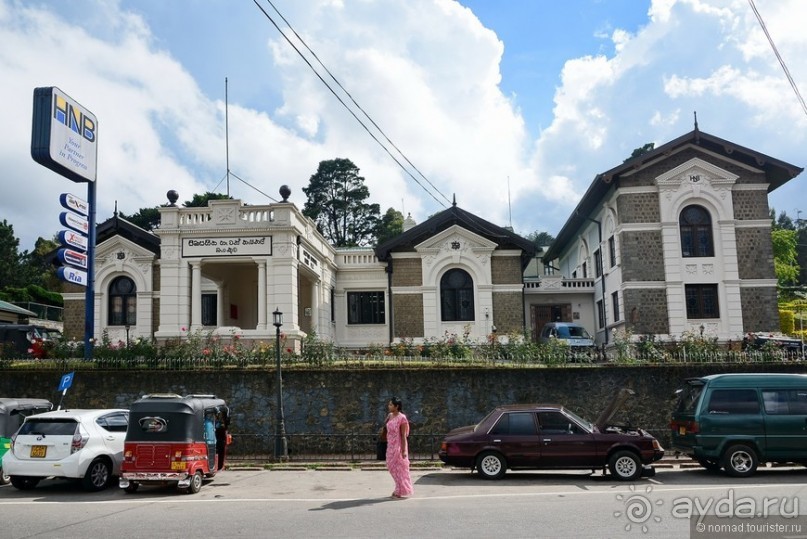 фото Нувара Элии