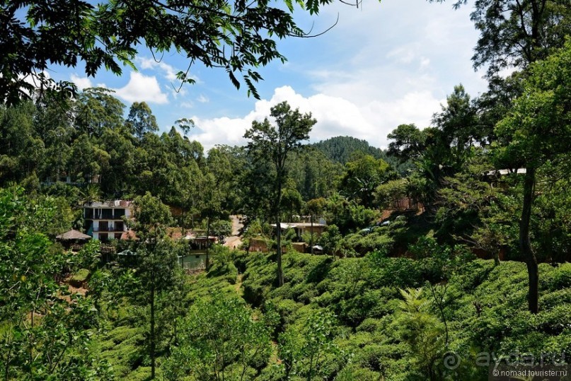 Цейлон на троих. Часть 6