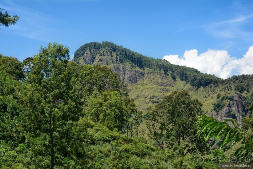 Цейлон на троих. Часть 6