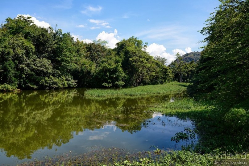 Цейлон на троих. Часть 6