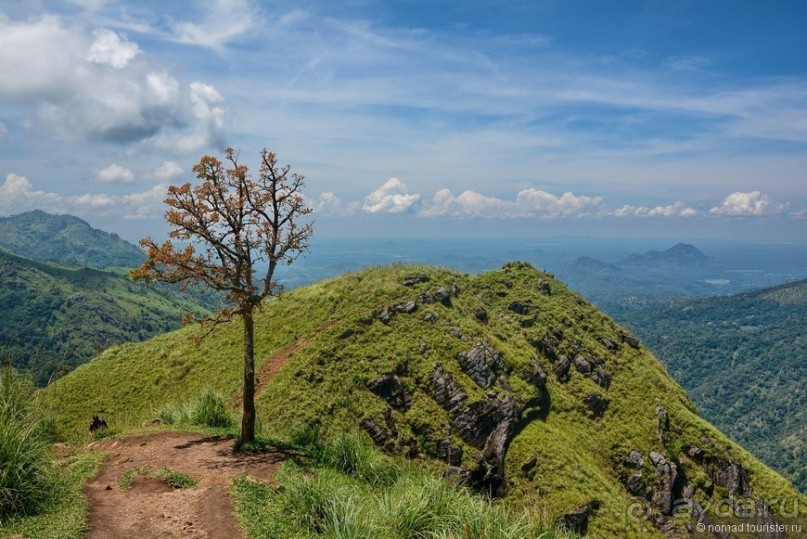 Цейлон на троих. Часть 6