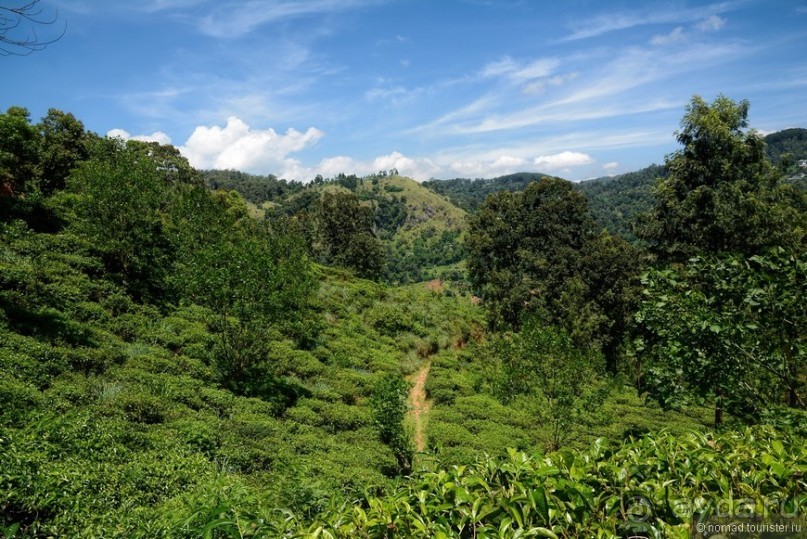 Цейлон на троих. Часть 6