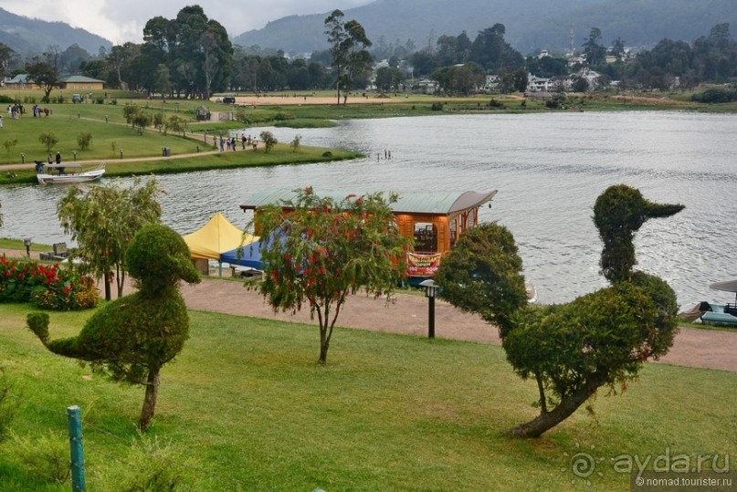 фото Нувара Элии