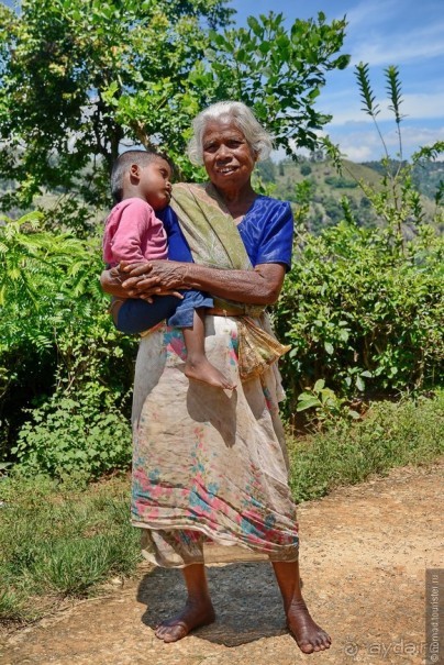 Цейлон на троих. Часть 6