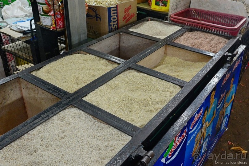 Цейлон на троих. Часть 6