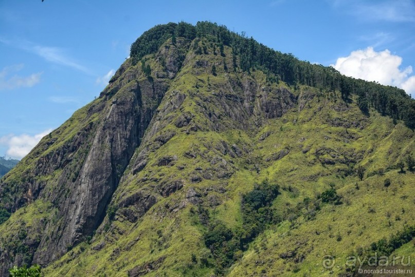 Цейлон на троих. Часть 6