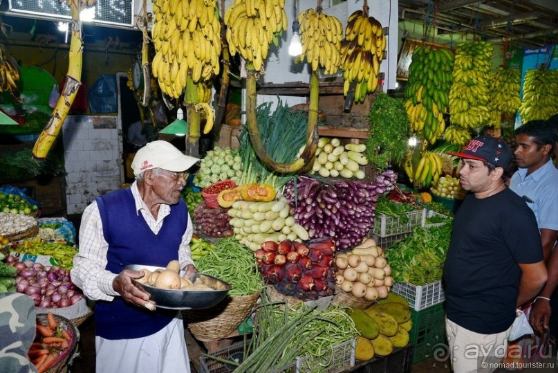 Цейлон на троих. Часть 6