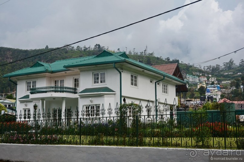 фото Нувара Элии