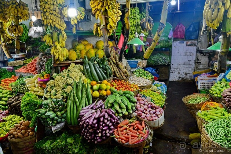 Цейлон на троих. Часть 6