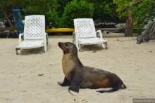 Американские горки (декабрь 2012-январь 2013). Часть 9