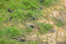 Американские горки (декабрь 2012-январь 2013). Часть 9