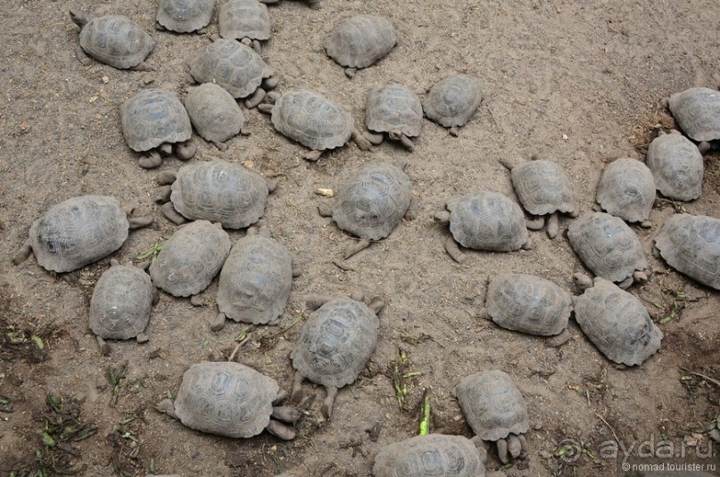 Американские горки (декабрь 2012-январь 2013). Часть 9