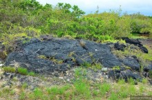 Американские горки (декабрь 2012-январь 2013). Часть 9