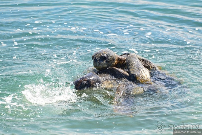 Американские горки (декабрь 2012-январь 2013). Часть 9 Американские горки (декабрь 2012-январь 2013). Часть 9