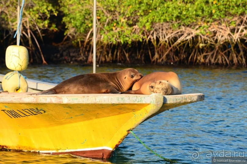 Американские горки (декабрь 2012-январь 2013). Часть 9