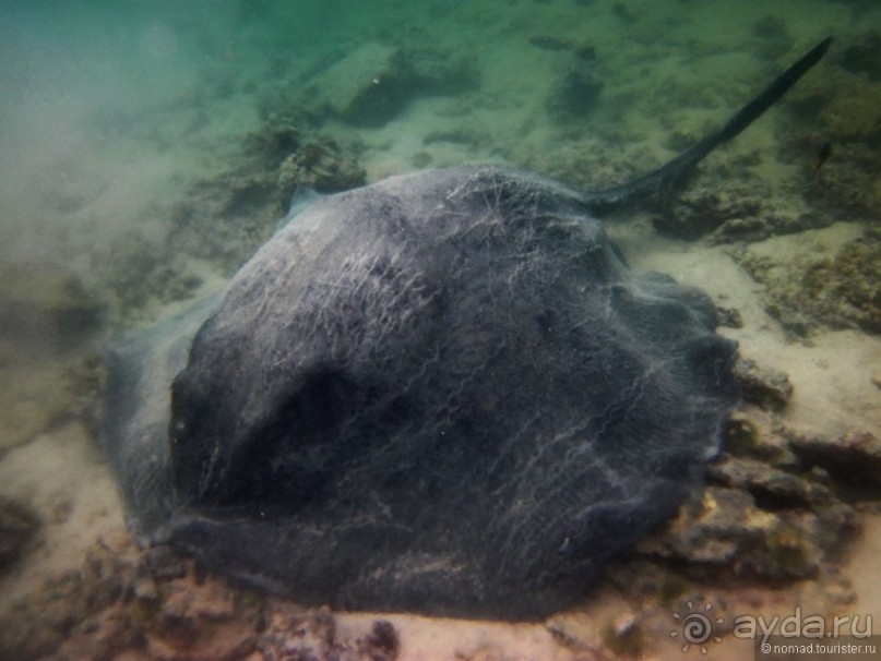 Американские горки (декабрь 2012-январь 2013). Часть 9