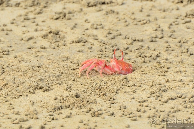 Американские горки (декабрь 2012-январь 2013). Часть 9