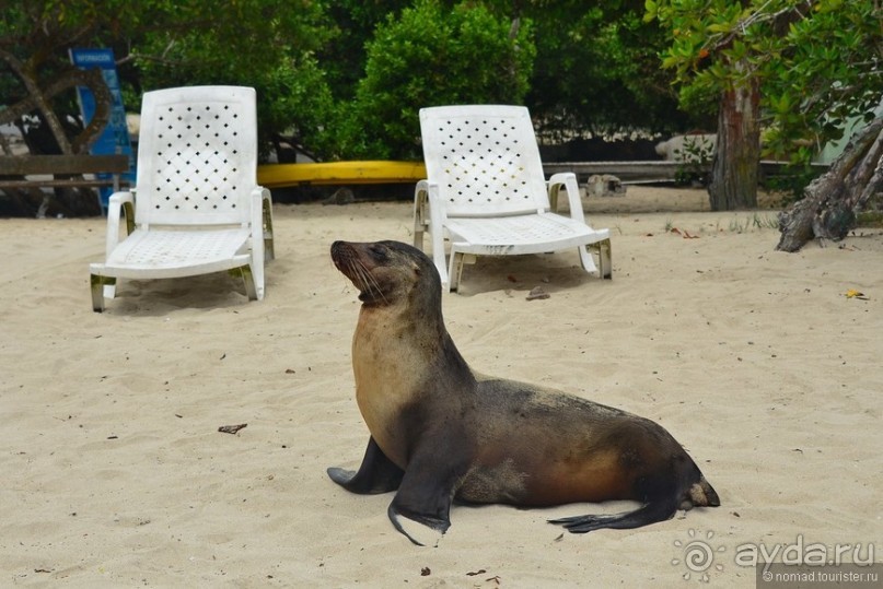 Американские горки (декабрь 2012-январь 2013). Часть 9 Американские горки (декабрь 2012-январь 2013). Часть 9