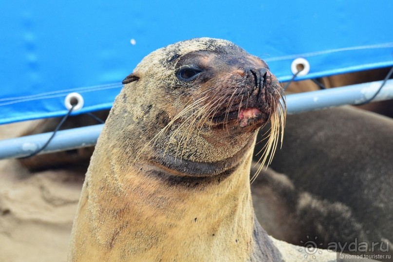 Американские горки (декабрь 2012-январь 2013). Часть 9 Американские горки (декабрь 2012-январь 2013). Часть 9