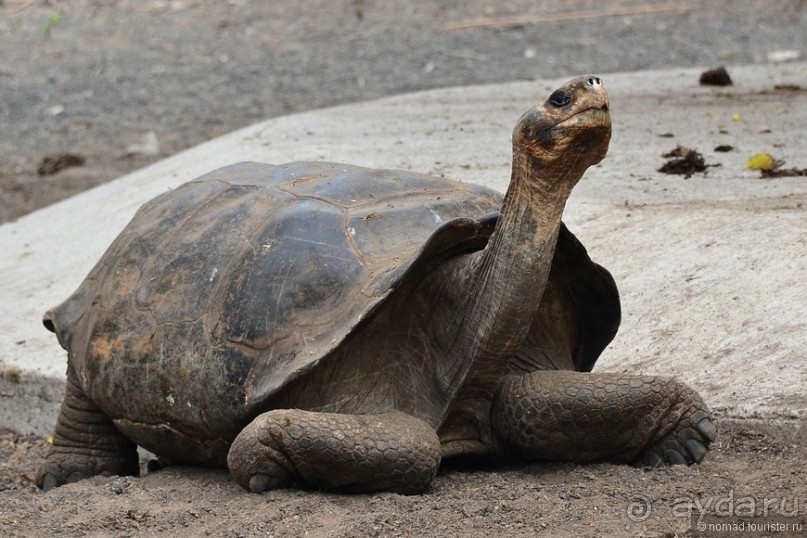 Американские горки (декабрь 2012-январь 2013). Часть 9
