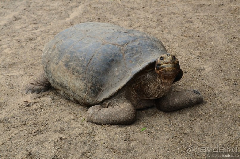Американские горки (декабрь 2012-январь 2013). Часть 9