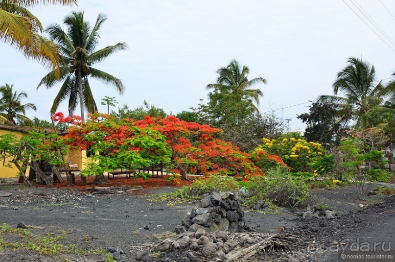 Американские горки (декабрь 2012-январь 2013). Часть 9