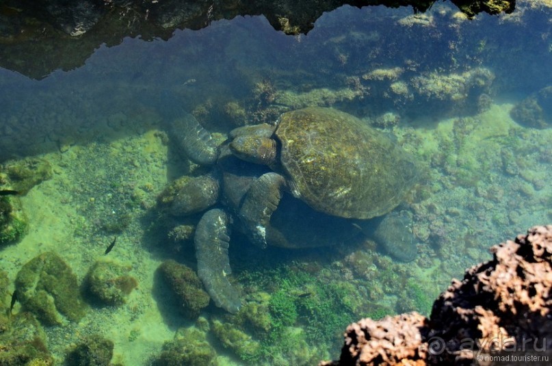 Американские горки (декабрь 2012-январь 2013). Часть 9