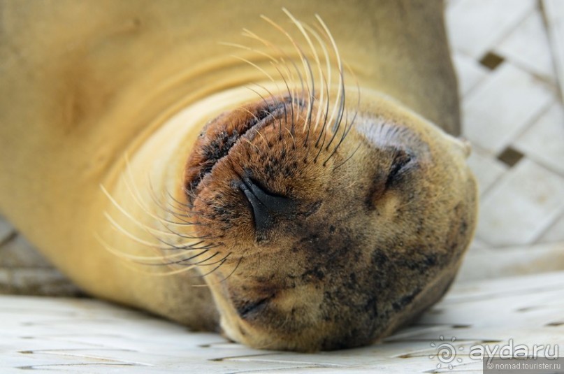 Американские горки (декабрь 2012-январь 2013). Часть 9 Американские горки (декабрь 2012-январь 2013). Часть 9