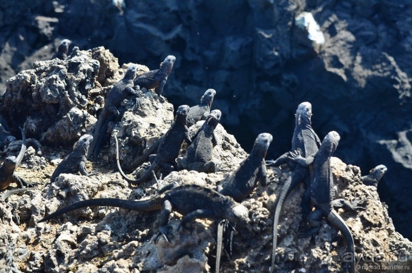 Американские горки (декабрь 2012-январь 2013). Часть 9