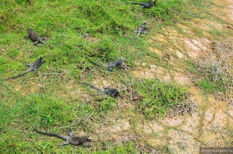 Американские горки (декабрь 2012-январь 2013). Часть 9 Американские горки (декабрь 2012-январь 2013). Часть 9