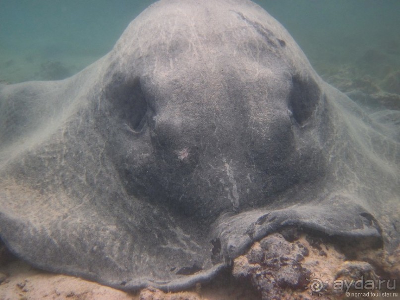 Американские горки (декабрь 2012-январь 2013). Часть 9