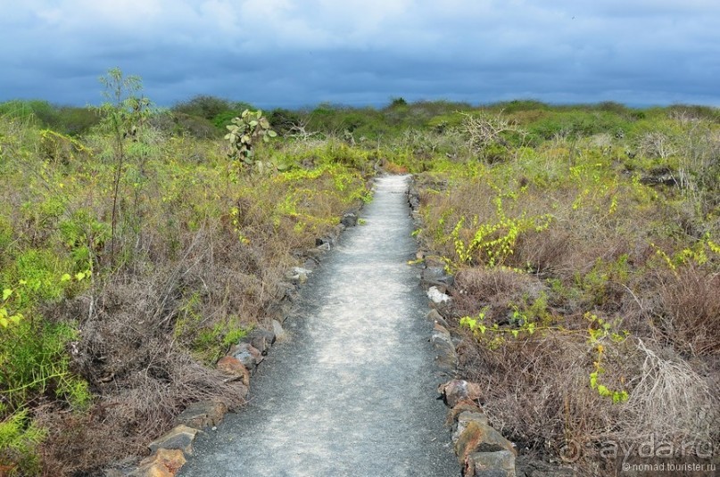 Американские горки (декабрь 2012-январь 2013). Часть 9