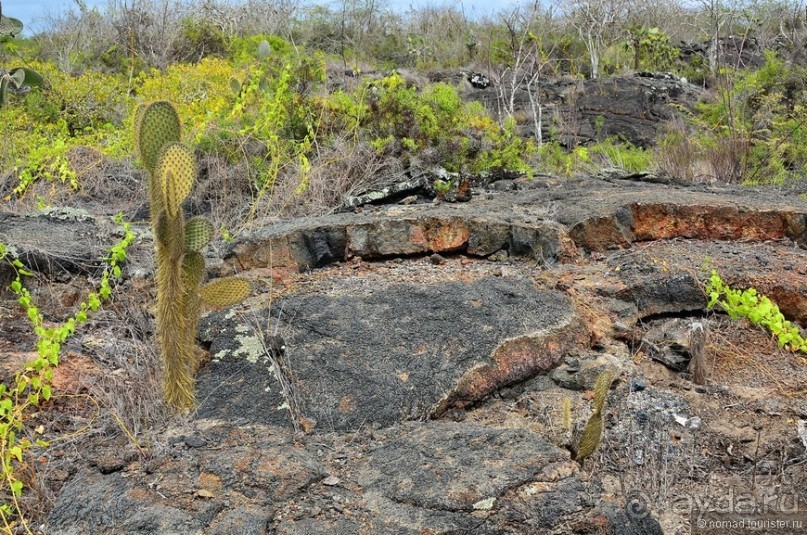 Американские горки (декабрь 2012-январь 2013). Часть 9 Американские горки (декабрь 2012-январь 2013). Часть 9