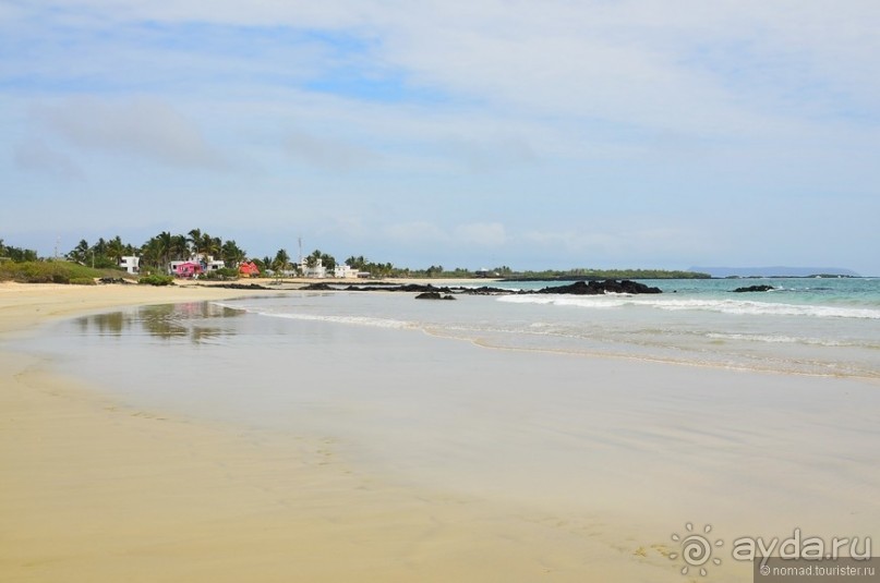 Американские горки (декабрь 2012-январь 2013). Часть 9