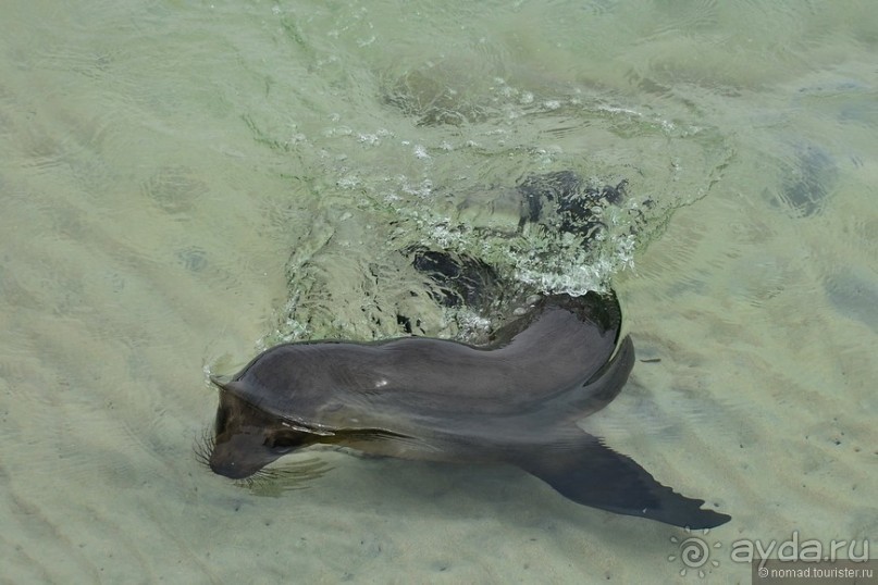 Американские горки (декабрь 2012-январь 2013). Часть 9 Американские горки (декабрь 2012-январь 2013). Часть 9