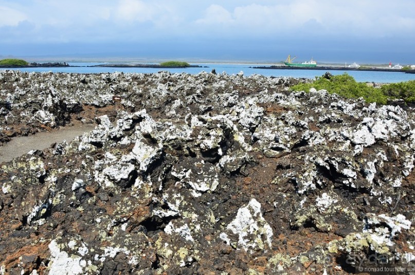 Американские горки (декабрь 2012-январь 2013). Часть 9