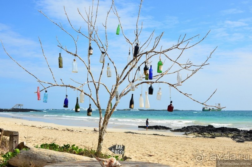 Американские горки (декабрь 2012-январь 2013). Часть 9