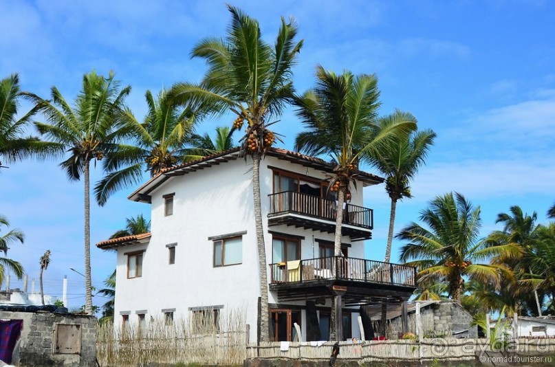 Американские горки (декабрь 2012-январь 2013). Часть 9