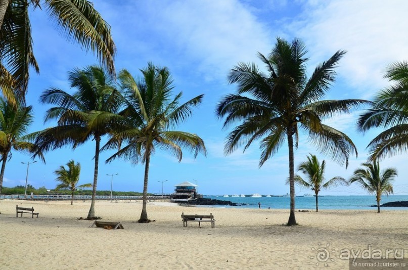 Американские горки (декабрь 2012-январь 2013). Часть 9