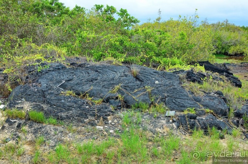 Американские горки (декабрь 2012-январь 2013). Часть 9 Американские горки (декабрь 2012-январь 2013). Часть 9