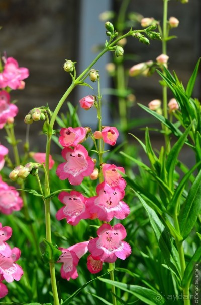 Акуна матата — дубль два. Кения в сезон дождей. Часть 5