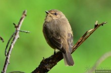 Акуна матата — дубль два. Кения в сезон дождей. Часть 5