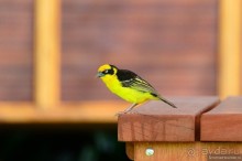 Акуна матата — дубль два. Кения в сезон дождей. Часть 5