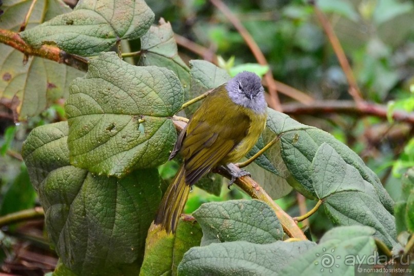 Акуна матата — дубль два. Кения в сезон дождей. Часть 5