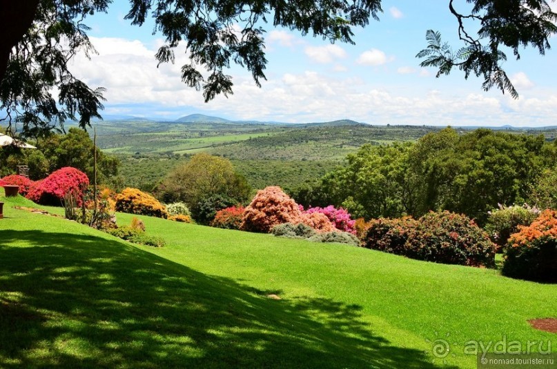 Акуна матата — дубль два. Кения в сезон дождей. Часть 5
