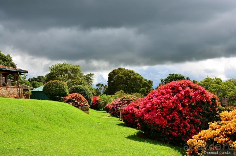 Акуна матата — дубль два. Кения в сезон дождей. Часть 5