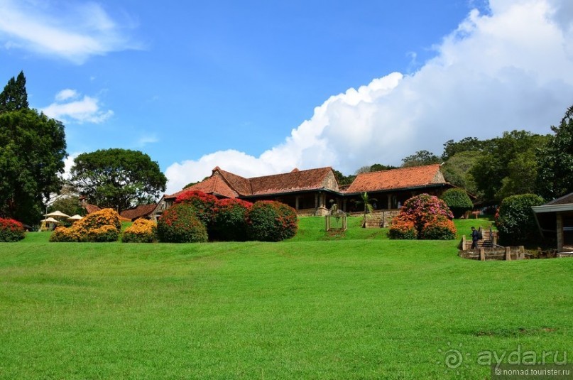 Акуна матата — дубль два. Кения в сезон дождей. Часть 5
