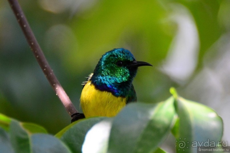 Акуна матата — дубль два. Кения в сезон дождей. Часть 5